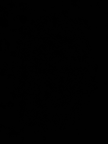 Անժելա Թեստ Վարդանյան